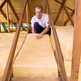 Buy Ceiling Insulation Batts for cheapest prices