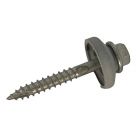 Screw T17 14X50 PC wash 26mm EZ-Glaze - Pack of 50 image
